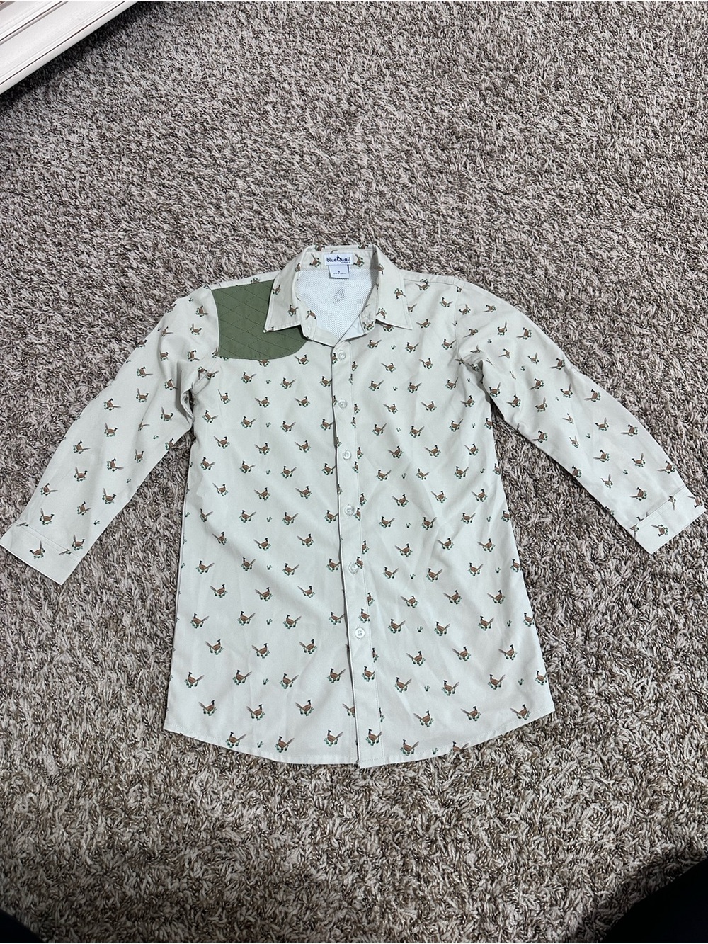 Blue Quail 6 Kids Button-Down Shirt - Green Animal Print